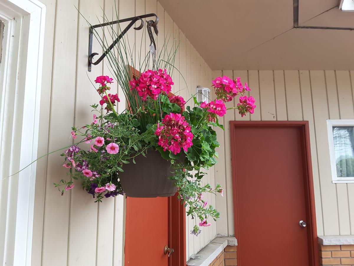 Pine Grove Motel Су-Сент-Мари Экстерьер фото